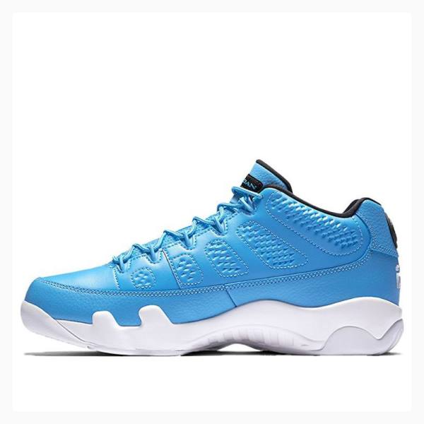 Air Jordan 9 Barbati Nike Retro Low Pantone Adidași Albastri | JD-025FI