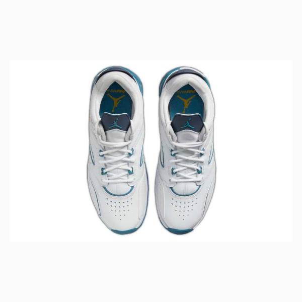 Air Jordan Barbati Nike Point Lane Ghete Baschet Albi Albastri Negrii | JD-637UJ