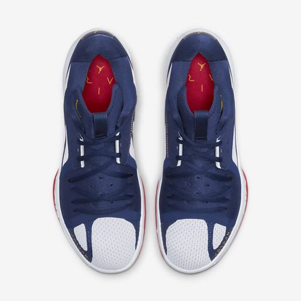 Air Jordan Barbati Nike Zoom Separate Bleumarin Albi Rosii Aurii | NK895XWY